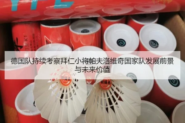 德国队持续考察拜仁小将帕夫洛维奇国家队发展前景与未来价值