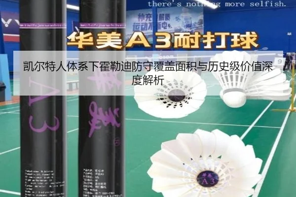 凯尔特人体系下霍勒迪防守覆盖面积与历史级价值深度解析